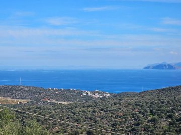 plmm7-plmm12-plmm13-plmm10-photo-7-1024x768