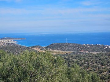 plmm7-plmm12-plmm13-plmm10-photo-2-1024x768