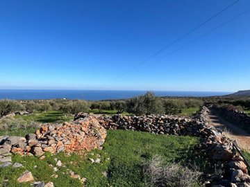 plsel13-photo-2-1024x768