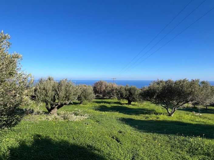 Image No.17-Plot for sale