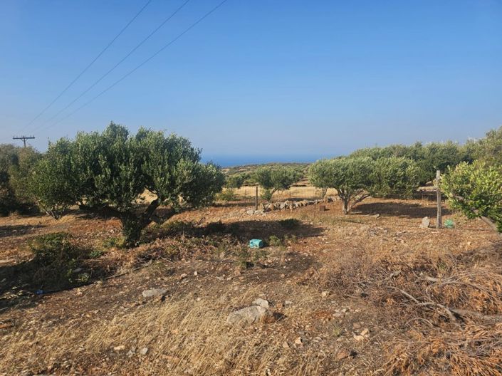 Image No.3-Plot for sale