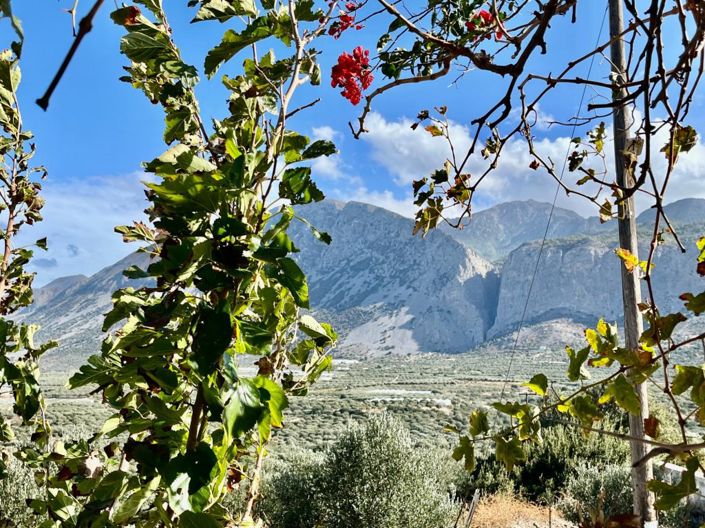 Image No.4-2 Bed Village House for sale