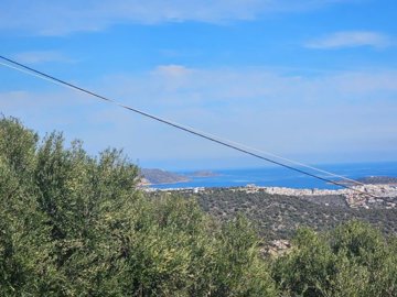 plmm7-plmm12-plmm13-plmm10-photo-1-1024x768