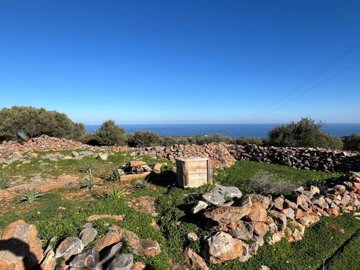 plsel13-photo-1-1024x768