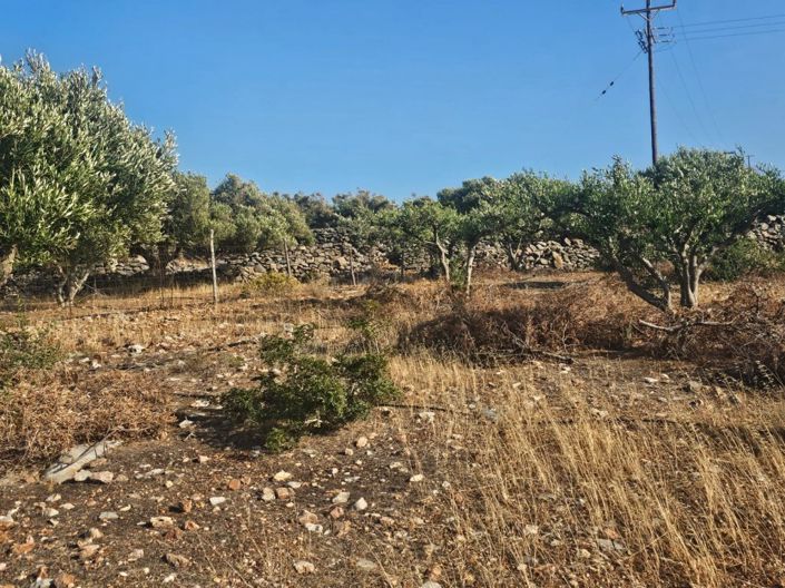 Image No.4-Plot for sale