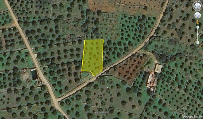 Image No.6-Plot for sale