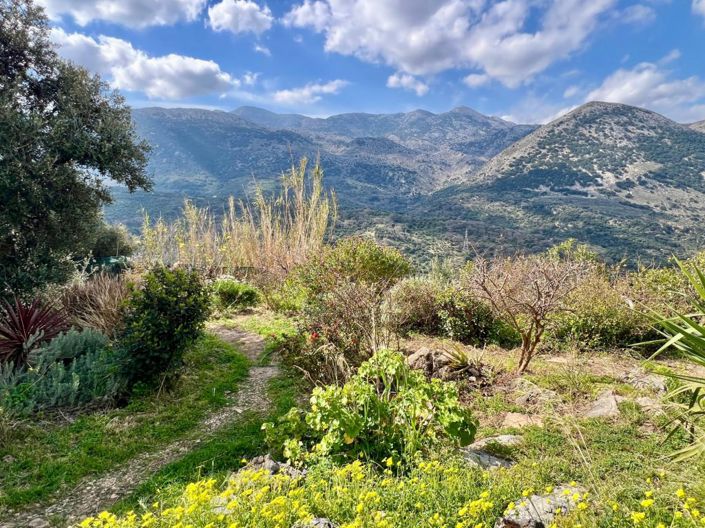 Image No.29-2 Bed House for sale