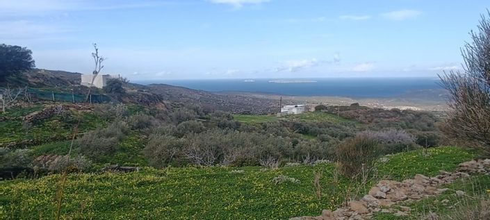 Image No.2-Plot for sale