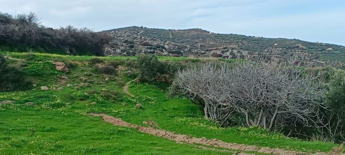 Image No.3-Plot for sale