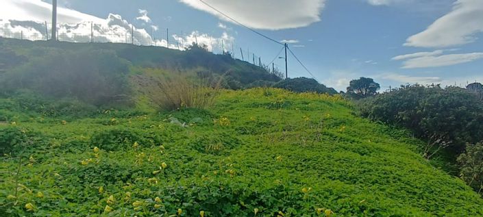 Image No.4-Plot for sale