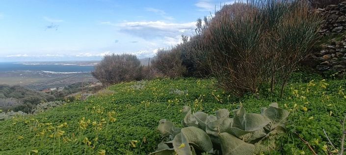 Image No.9-Plot for sale