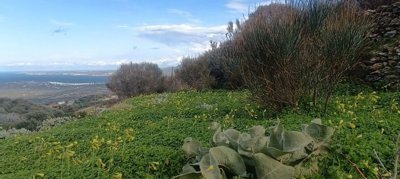 plcham1-1-1-1024x461