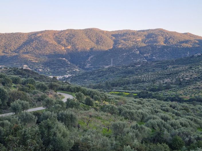 Image No.2-Plot for sale