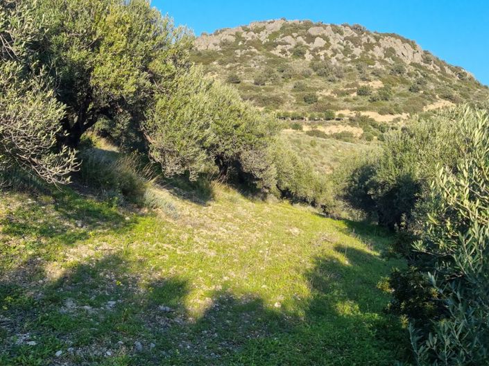 Image No.6-Plot for sale