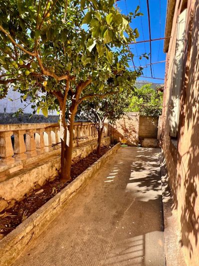 Image No.25-Maison de 3 chambres à vendre à Lasithi