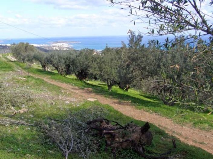 Image No.12-Terrain à vendre à Agios Nikolaos
