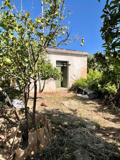 Image No.8-1 Bed House for sale