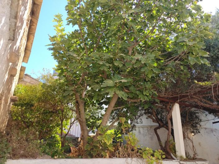 Image No.19-2 Bed House for sale
