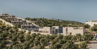 hamm19-6-1024x528