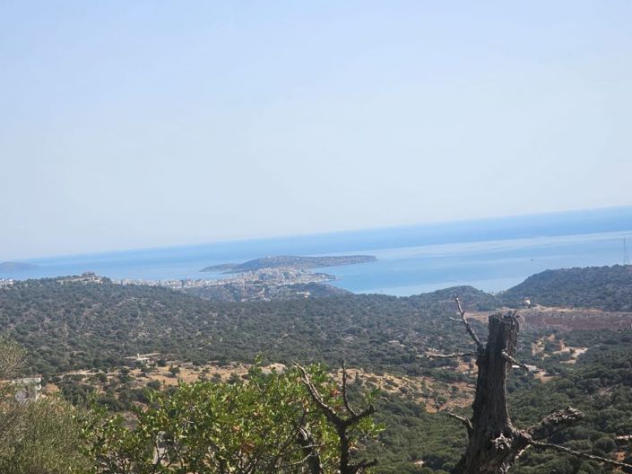 Image No.12-Terrain à vendre à Agios Nikolaos
