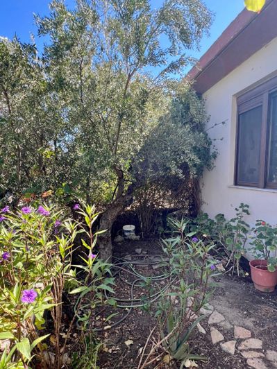 Image No.30-3 Bed House for sale