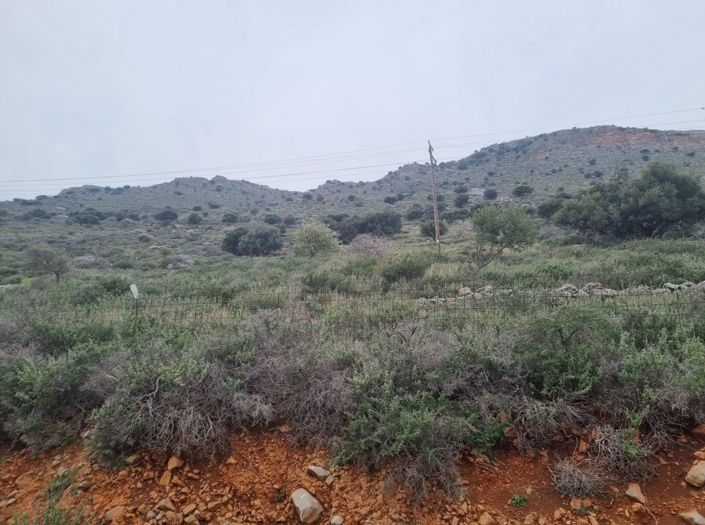 Image No.3-Plot for sale