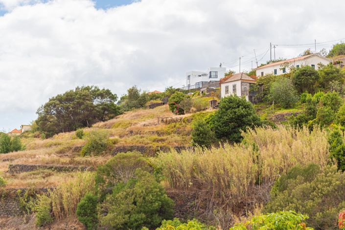 Image No.14-Terre à vendre à Santa Cruz