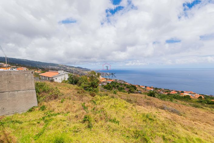 Image No.4-Terre à vendre à Santa Cruz