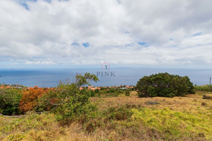 Image No.8-Terre à vendre à Santa Cruz