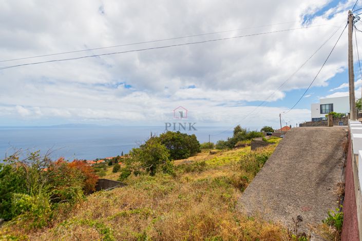 Image No.9-Terre à vendre à Santa Cruz