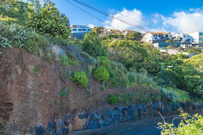 Image No.3-Terre à vendre à Machico