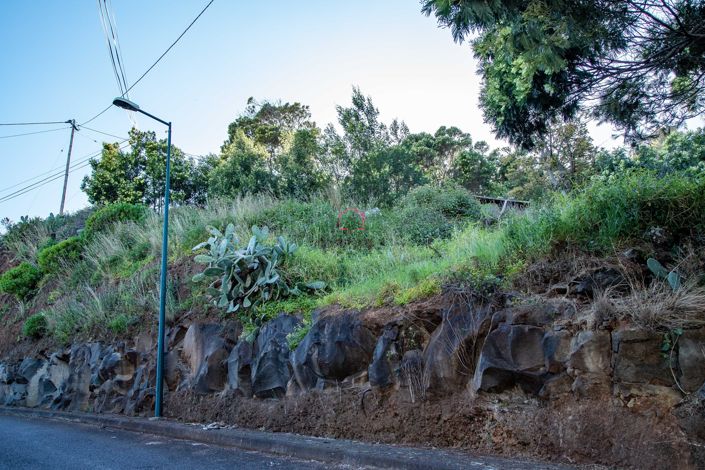 Image No.5-Terre à vendre à Machico