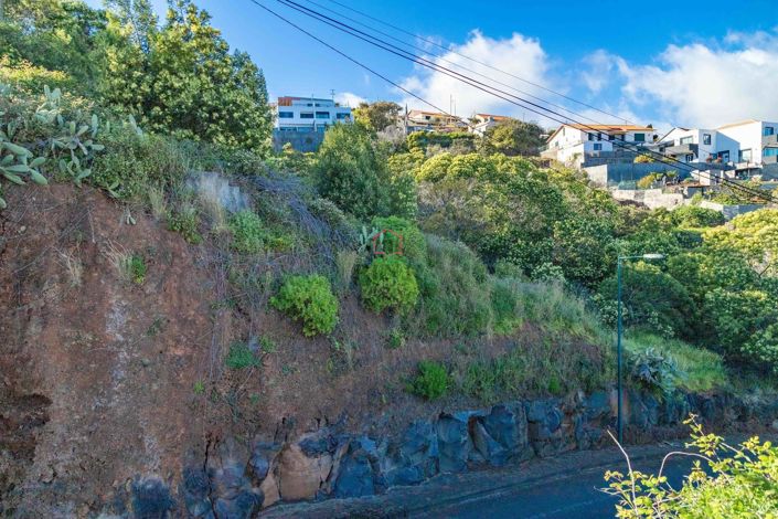 Image No.6-Terre à vendre à Machico