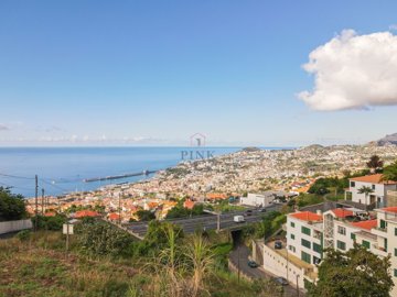1 - Funchal, Terre