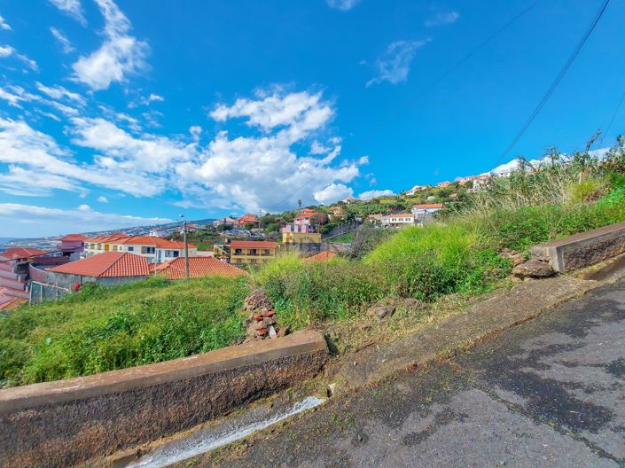 Image No.4-Terre à vendre à Santa Cruz