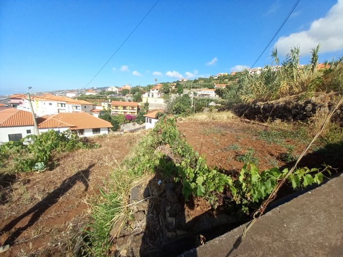 Image No.6-Terre à vendre à Santa Cruz