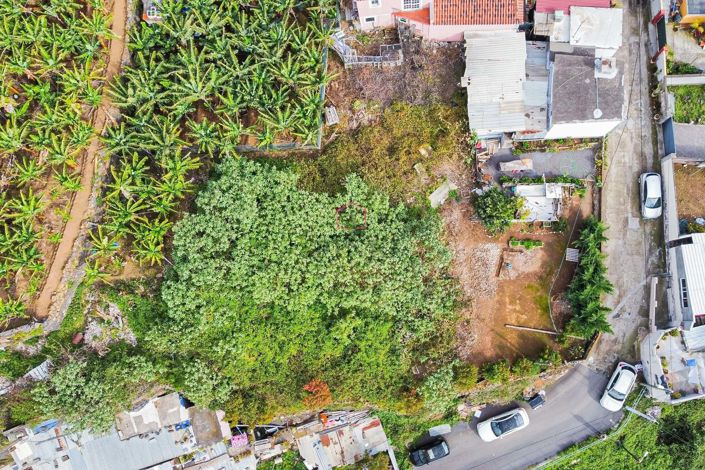 Image No.3-Terre à vendre à Camara de Lobos