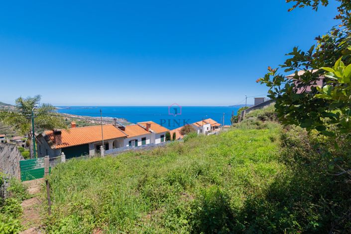 Image No.10-Terre à vendre à Santa Cruz