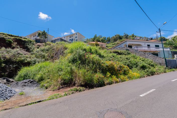 Image No.12-Terre à vendre à Santa Cruz