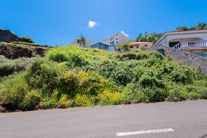 Image No.13-Terre à vendre à Santa Cruz