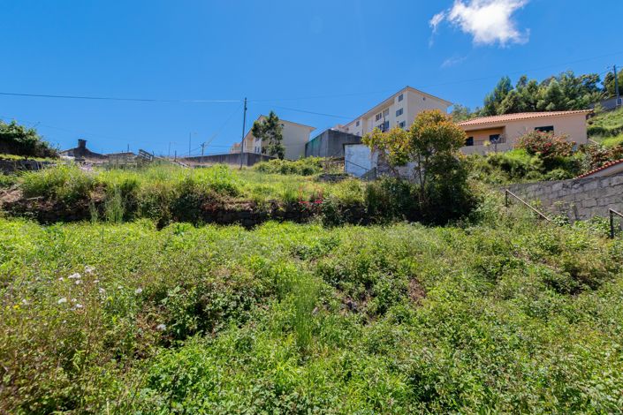 Image No.15-Terre à vendre à Santa Cruz