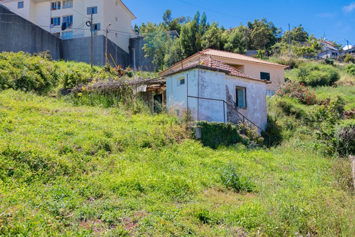 Image No.6-Terre à vendre à Santa Cruz