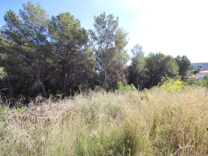 Image No.2-Plot for sale