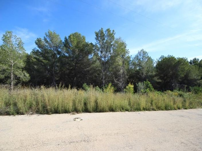 Image No.3-Plot for sale