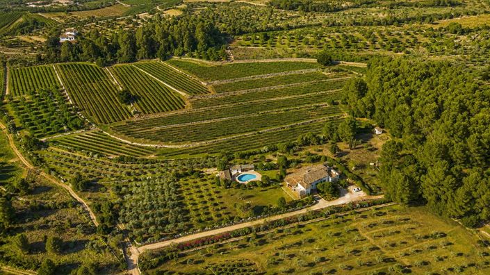 Image No.3-4 Bed Villa for sale