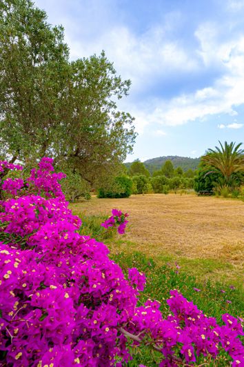 Image No.45-4 Bed Villa for sale