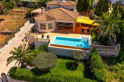 denia-65