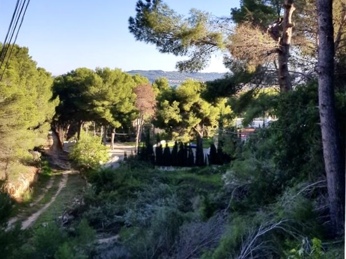 Image No.2-Plot for sale