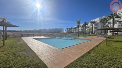 116-652530-4f641b0a83626aa13f69ce3570ee39547c