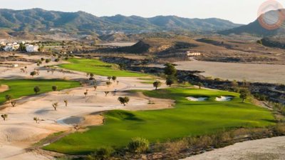 116-659019-4f641b0a83626aa13f69ce3570ee39547c